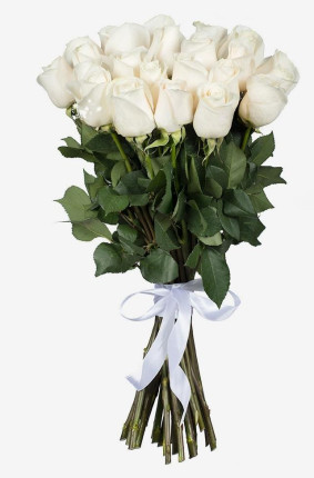 Beyaz Güller Image